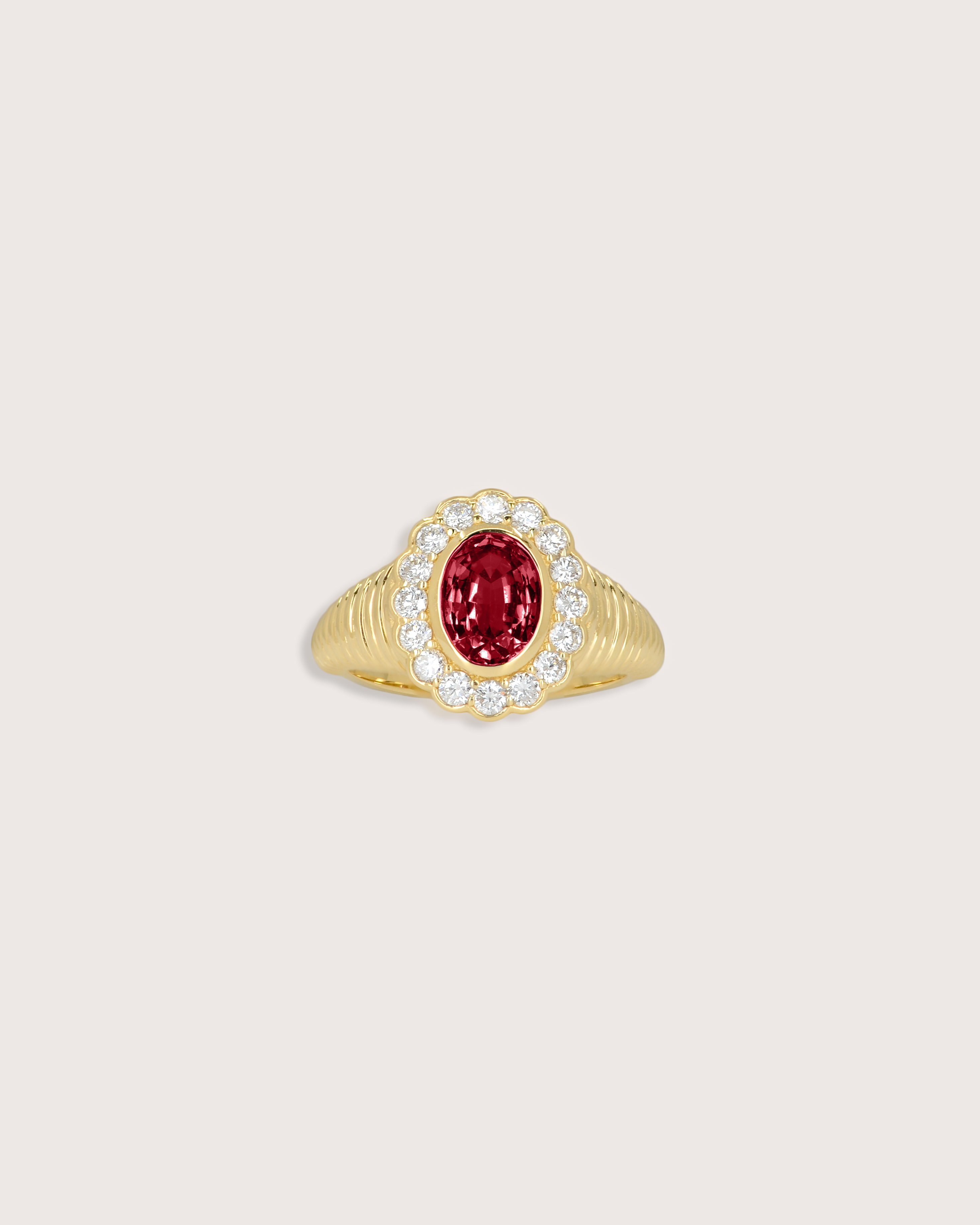 Nora Halo Signet Ring in Ruby